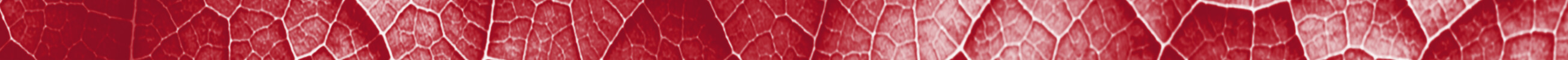 About textures 2
