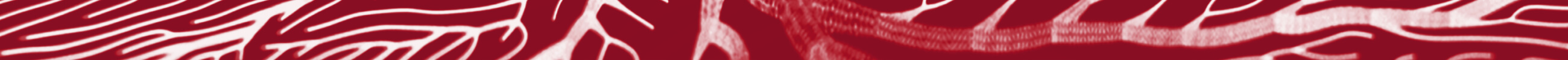 About textures 4