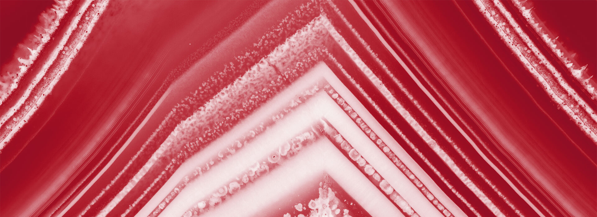 Tarlton pattern 2