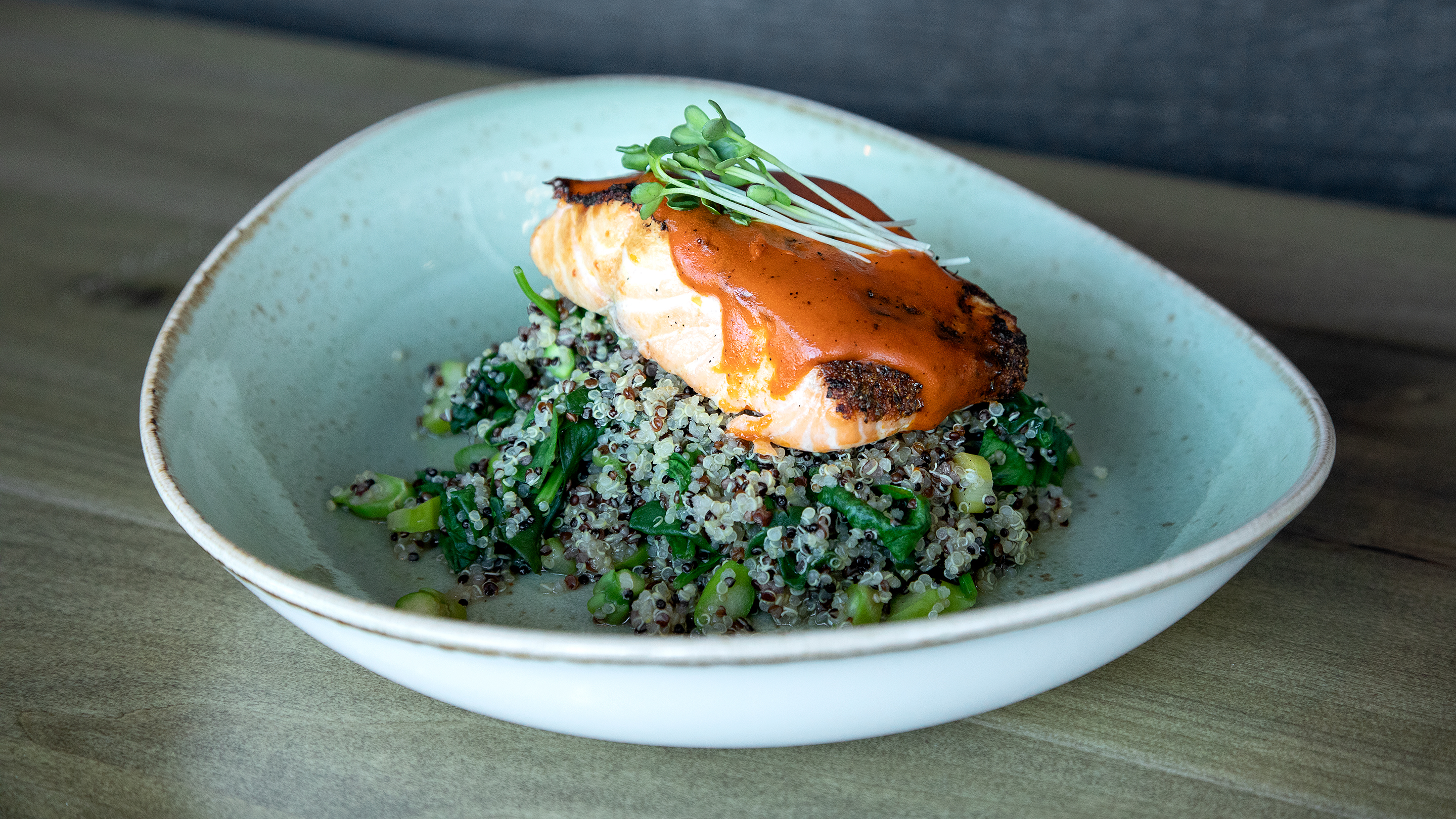 Salmon