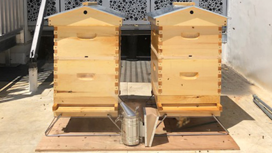 Bee 4