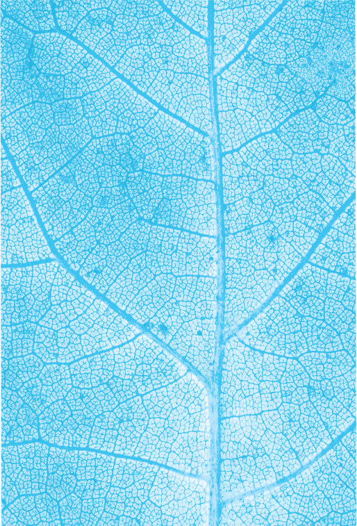 Texture footer